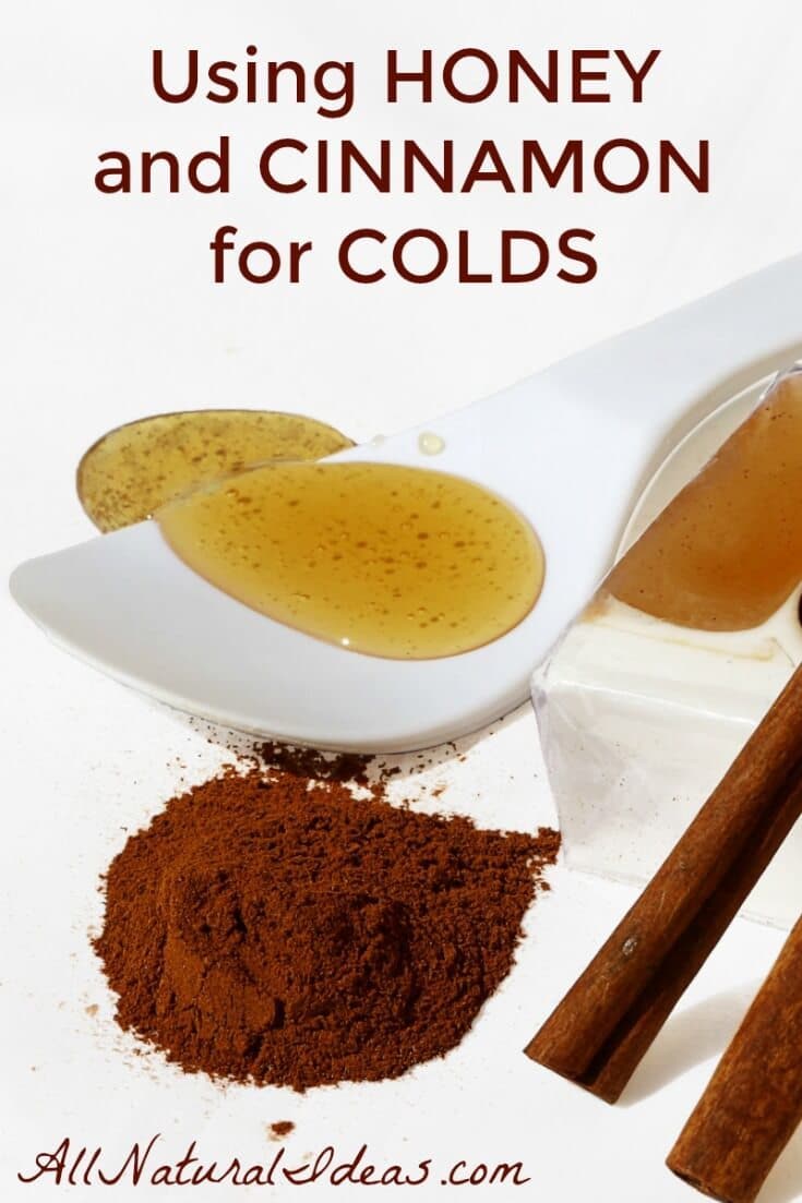 Honey and cinnamon for colds