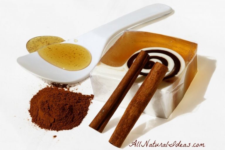 Using Honey and Cinnamon for Colds All Natural Ideas