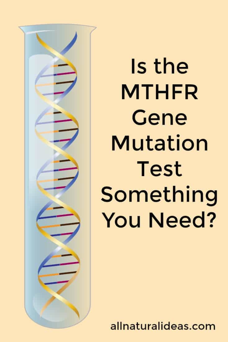 MTHFR gene mutation test cover image