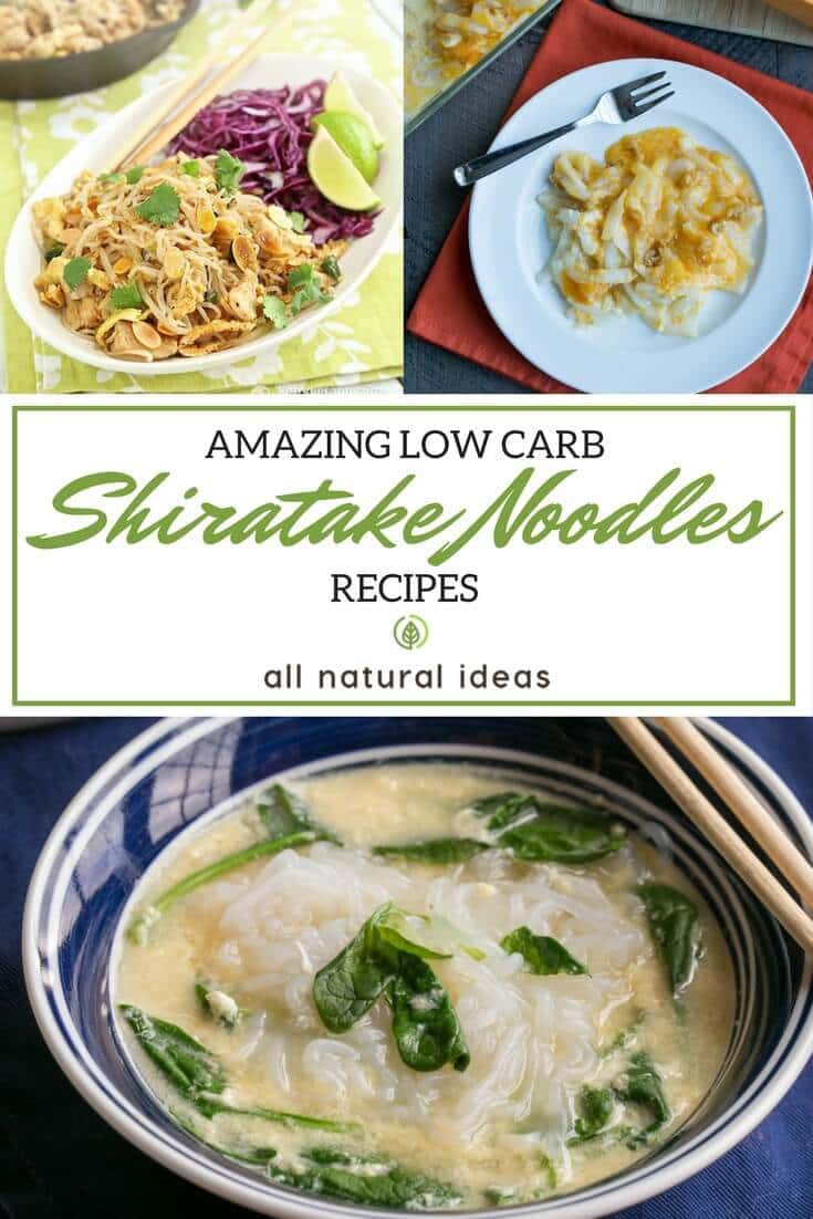 keto shirataki noodles recipes
