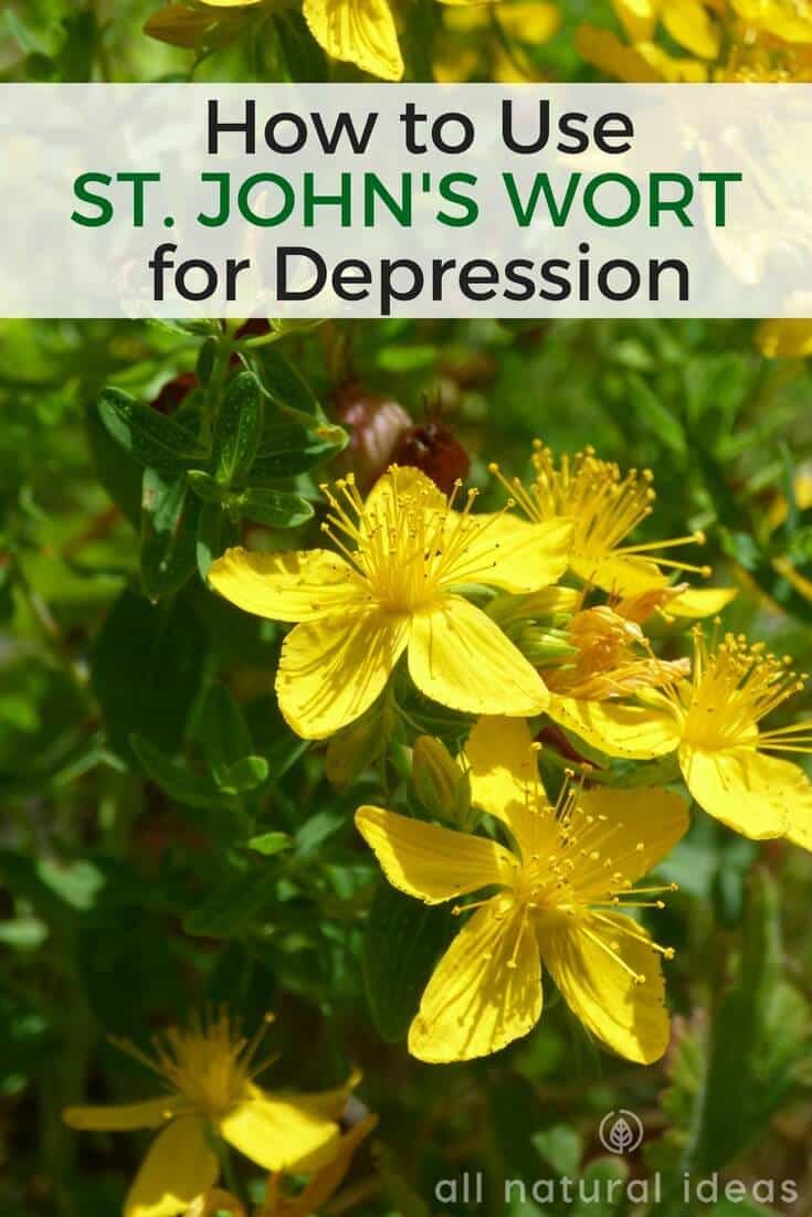 How to use St. John's Wort oil for depression