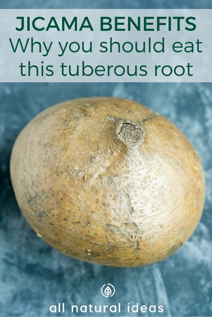 Jicama benefits from eating the tuberous root