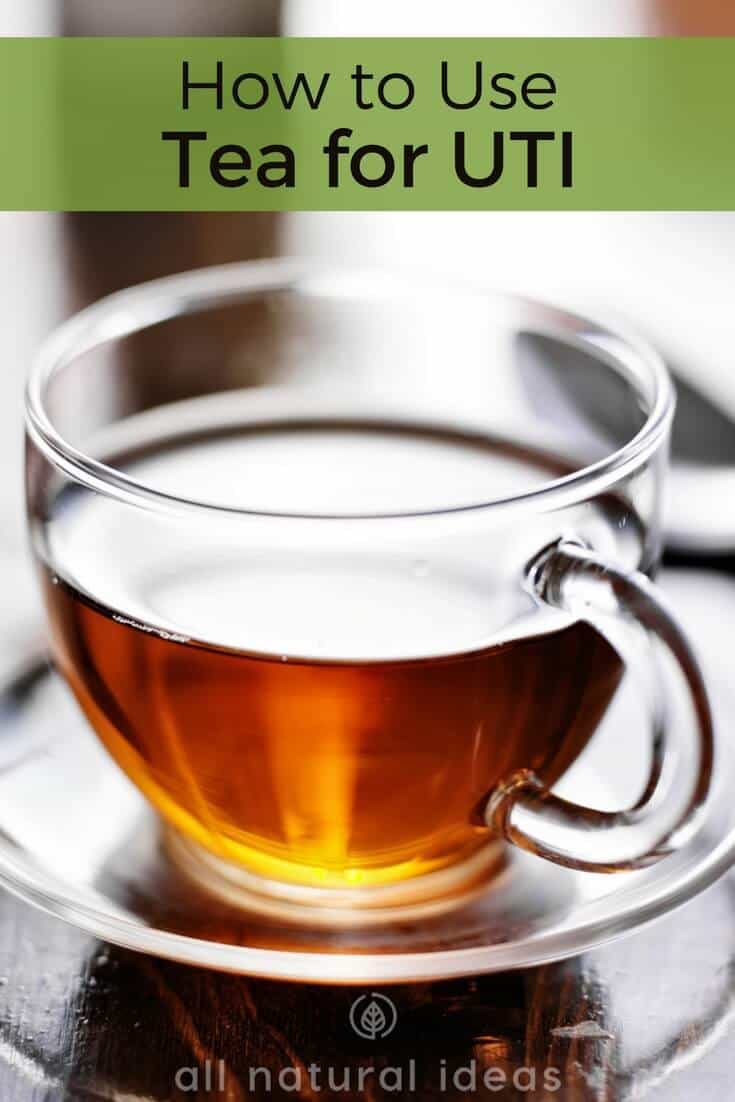 How to use tea for UTI