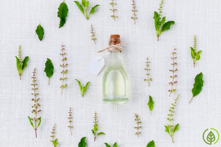 Best Essential Oils for Inflammation and Pain | All ...