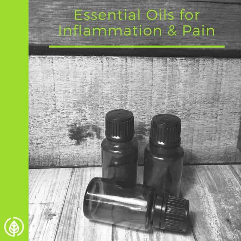 Best Essential Oils for Inflammation and Pain All Natural Ideas
