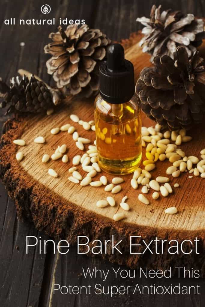 Pine Bark Extract Benefits as a Super Antioxidant All Natural Ideas