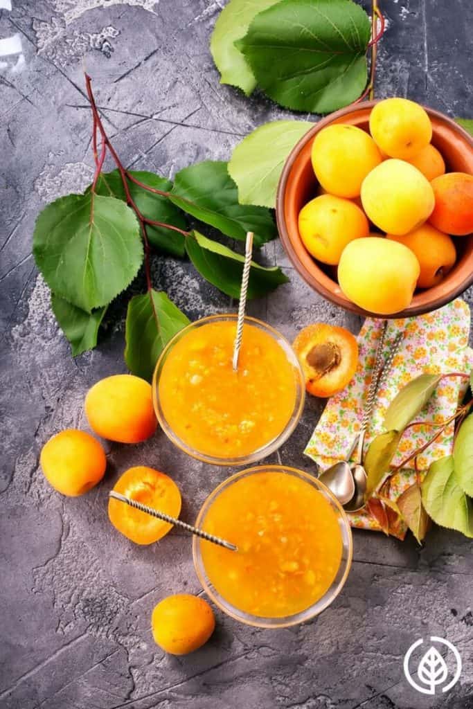 Apricot Oil Benefits Candida to Cancer and More... All Natural Ideas