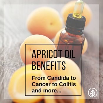 Apricot oil benefits include cancer prevention and treatment. It’s also used as a massage oil and it’s an ingredient in countless hair and beauty products, as well as homemade remedies.