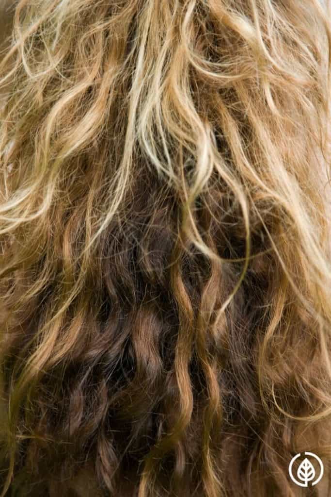 Bentonite Clay For Hair The Cure for Frizzy Curls? All Natural Ideas