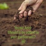 Love to get your hands dirty in the soil? If you’re not familiar with humic acid, get to know it. It’s like a natural steroid for plant growth. And it works by promoting hormone activity in plants. Here’s more info on humic acid, especially its benefits for plants.