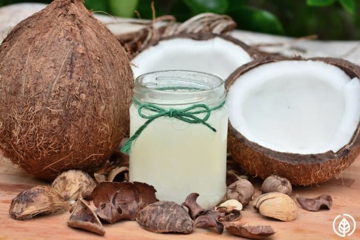 You probably know that coconut oil offers many health benefits. But did you know coconut oil for cats is a thing? Yes, even your feline best friend can reap the health benefits. Learn more about coconut oil for cats….