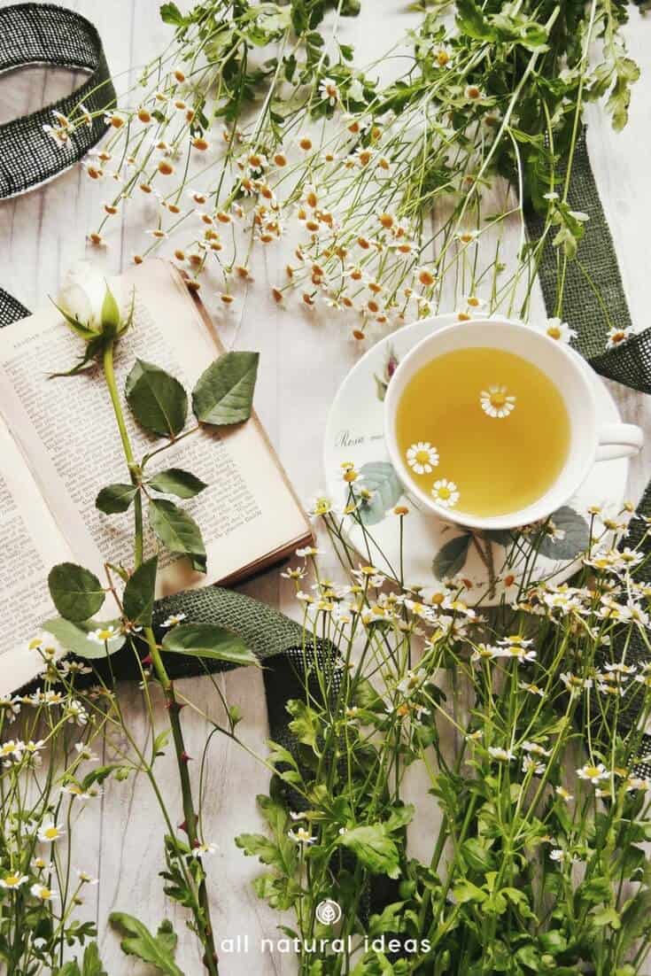 flowers in tea