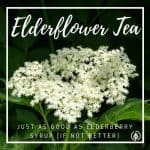 If you're into natural health, no doubt you're aware of elderberry syrup. It's one of the most popular natural prevention remedies and cures for colds and the flu. But have you heard of elderflower tea? Can preventing colds and flu be as simple as sipping a cuppa?