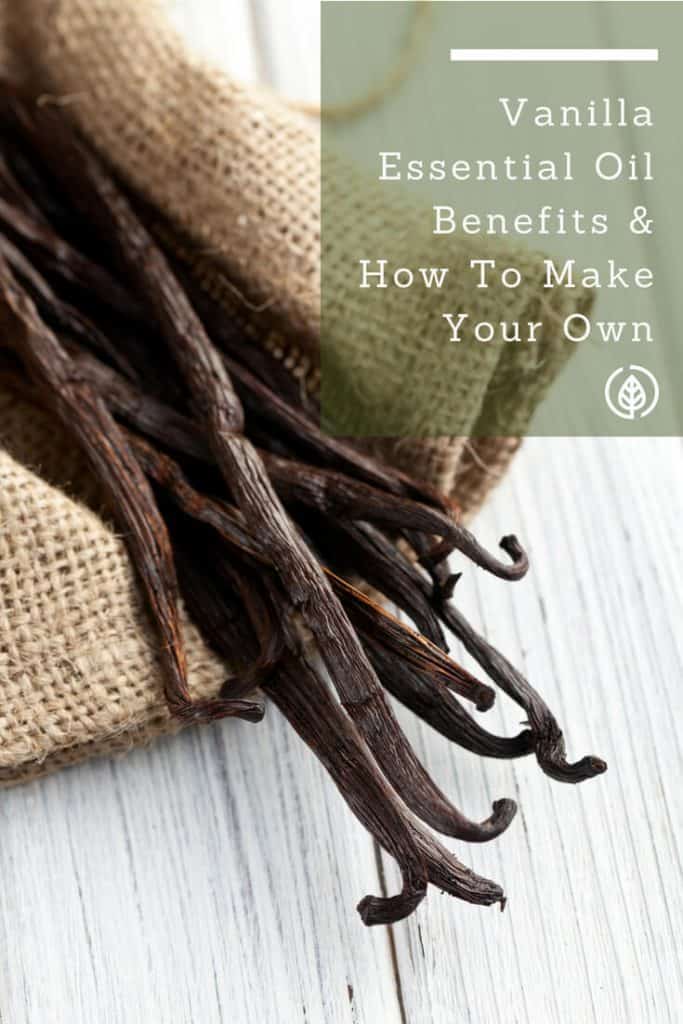Best known as an ingredient in baking recipes and as one of the most popular ice cream flavors, vanilla, it turns out offers many health benefits. However, you don’t get the health benefits from eating lots of ice cream. Rather, by using vanilla essential oil….