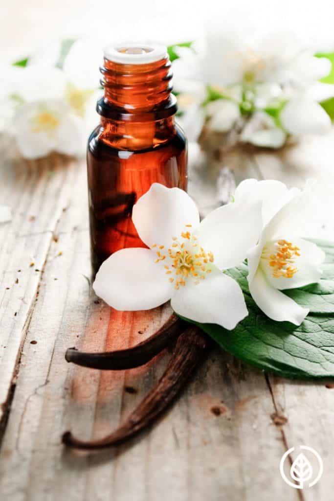 Best known as an ingredient in baking recipes and as one of the most popular ice cream flavors, vanilla, it turns out offers many health benefits. However, you don’t get the health benefits from eating lots of ice cream. Rather, by using vanilla essential oil….