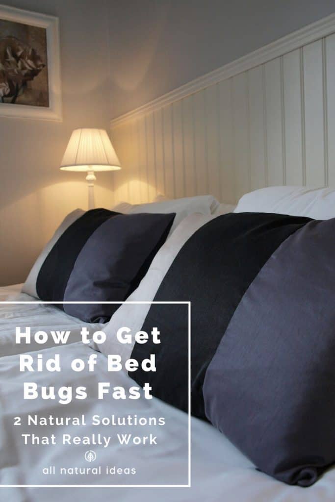 Do you have an infestation of miniature hitchhiking vampires, aka bed bugs? If so, it can be both a physical and psychological nightmare enduring their painful bites, sleepless nights, and long-lasting post-traumatic effects, such as never wanting to travel again. If you want to avoid harmful chemicals, is there a way how to get rid of bed bugs fast?