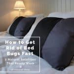 Do you have an infestation of miniature hitchhiking vampires, aka bed bugs? If so, it can be both a physical and psychological nightmare enduring their painful bites, sleepless nights, and long-lasting post-traumatic effects, such as never wanting to travel again. If you want to avoid harmful chemicals, is there a way how to get rid of bed bugs fast?