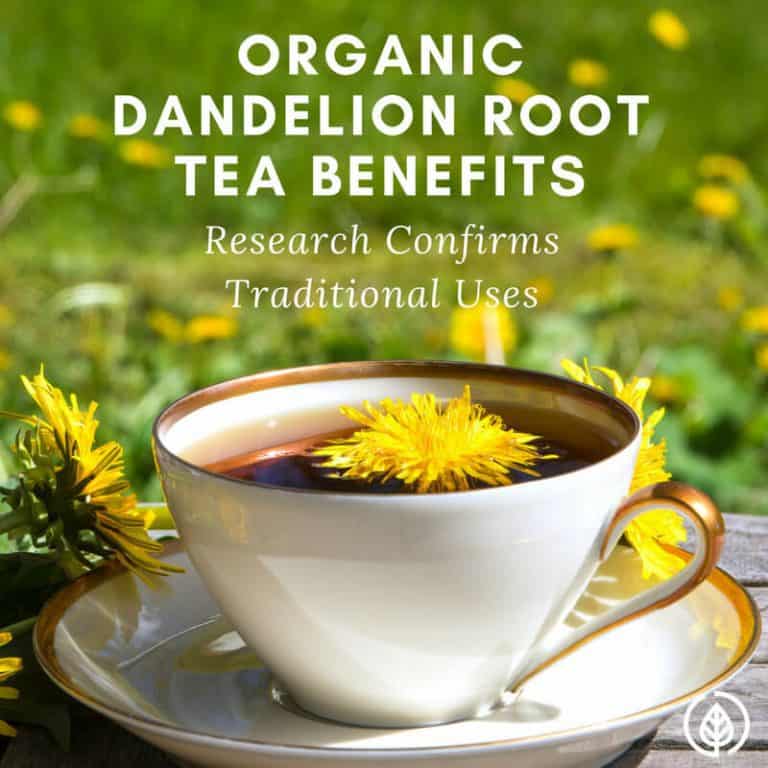 Is tea for UTI an effective herbal remedy? All Natural Ideas