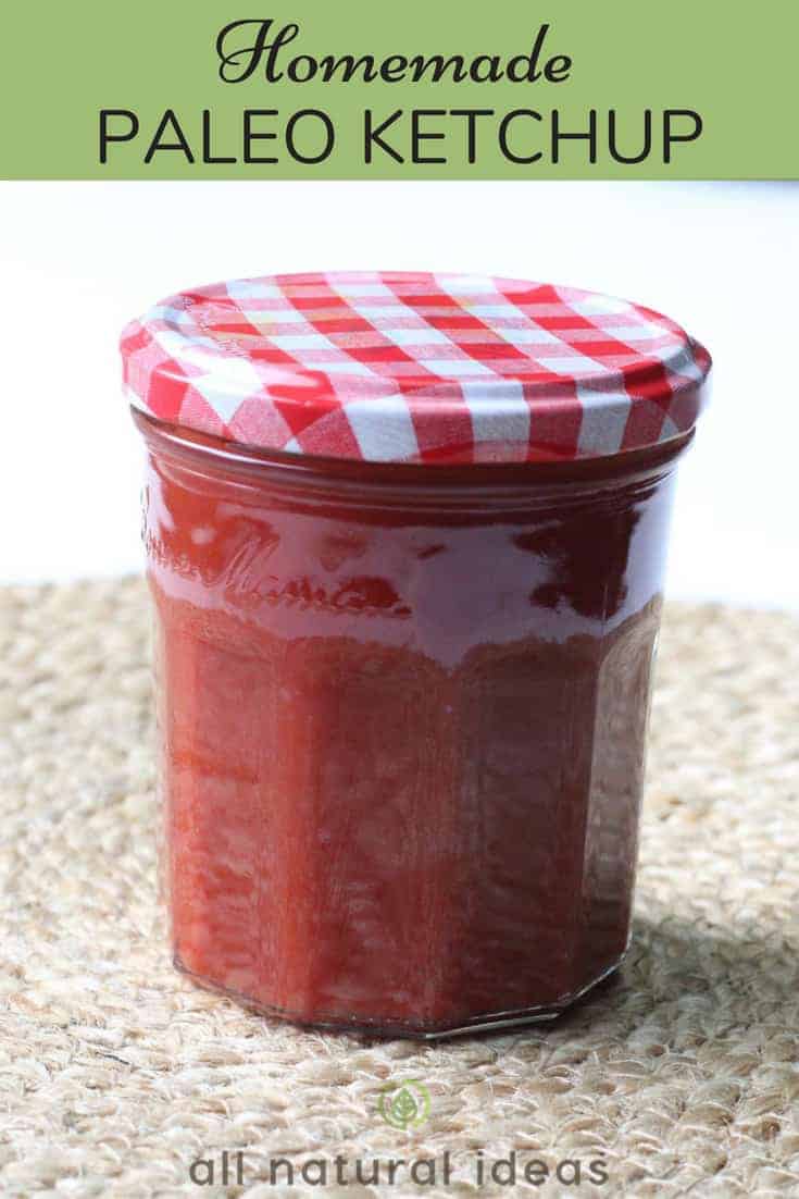 The best homemade paleo ketchup recipe