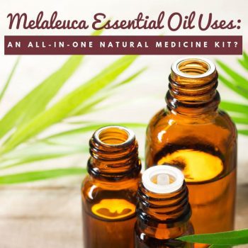 Got an infection or a cold? How about dandruff or a UTI? Melaleuca essential oil uses include treating these ailments and several others. But is there research to prove it works?