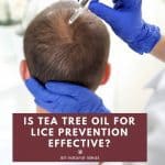 Is head lice a right of passage for kids, like getting chicken pox? Or, can natural remedies such as tea tree oil for lice prevention in shampoo work? Maybe your kid doesn't have to be kept from school if you apply it frequently to your child's scalp.... 