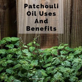 Patchouli oil is perhaps most well known for its earthy, natural fragrance. In other words, hippies love it. But beyond the Mother Nature scent, what are other patchouli oil uses and benefits?  