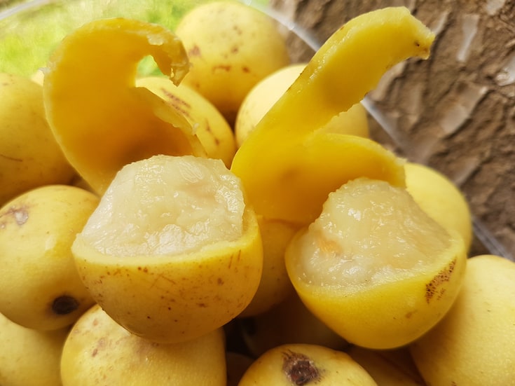 marula fruit