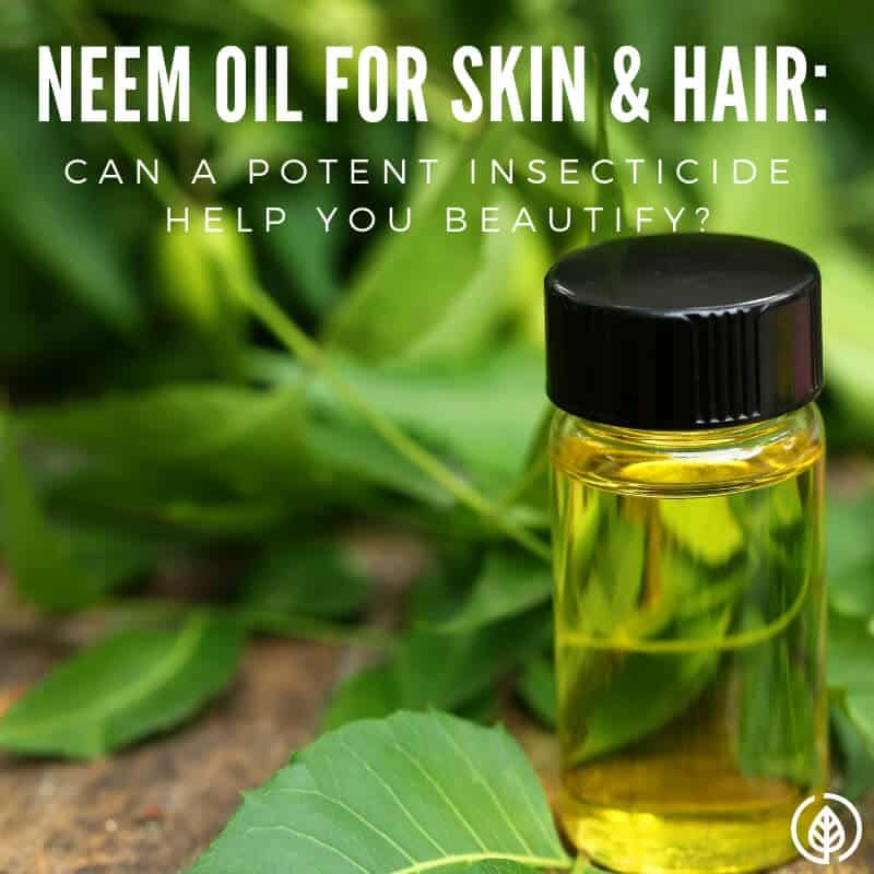 How to Use Neem Oil For Skin And Hair All Natural Ideas