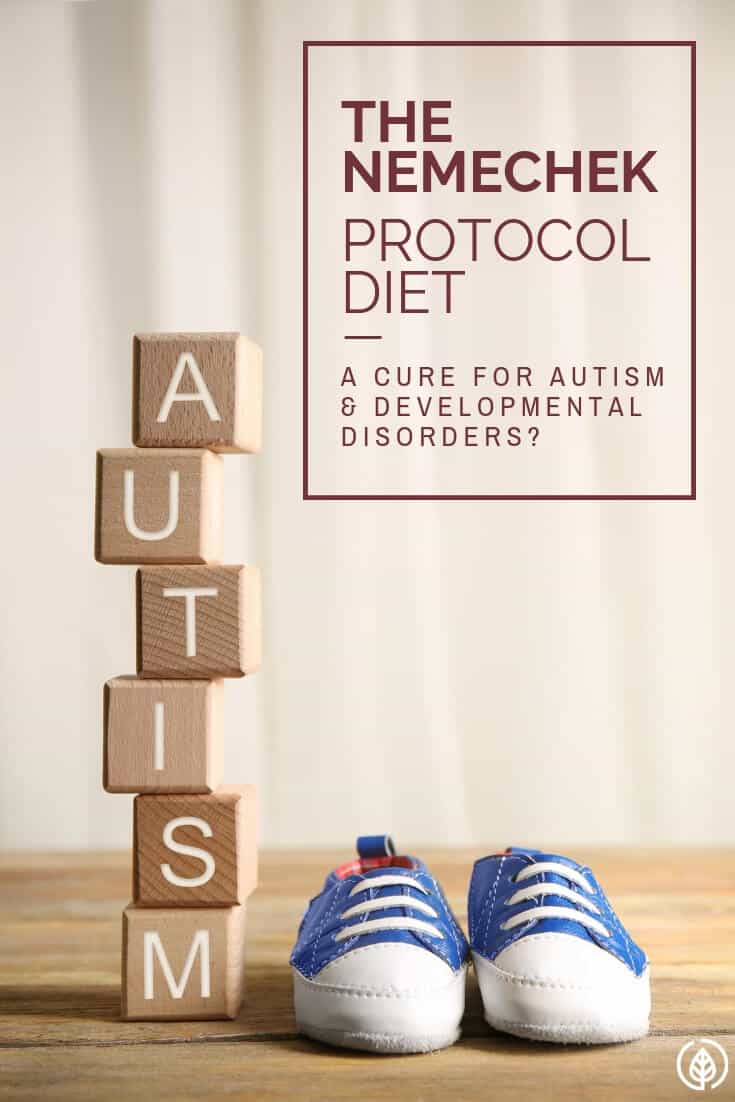 Nemchek Protocol Diet Cure for Autism and Developmental Disorders