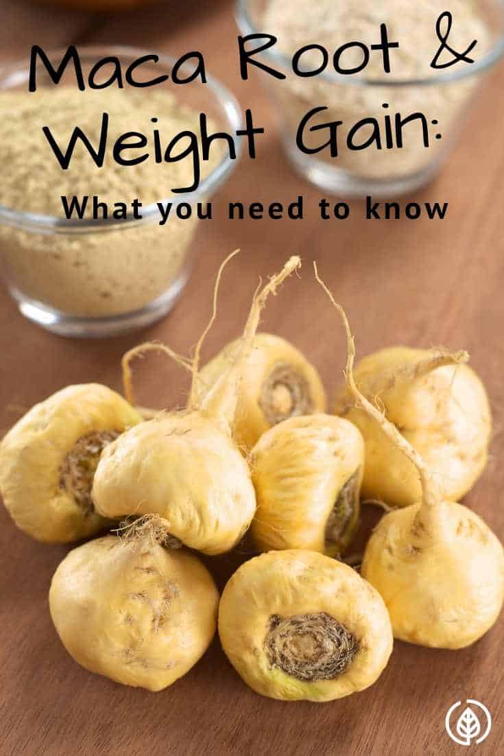 Maca Root and Weight Gain