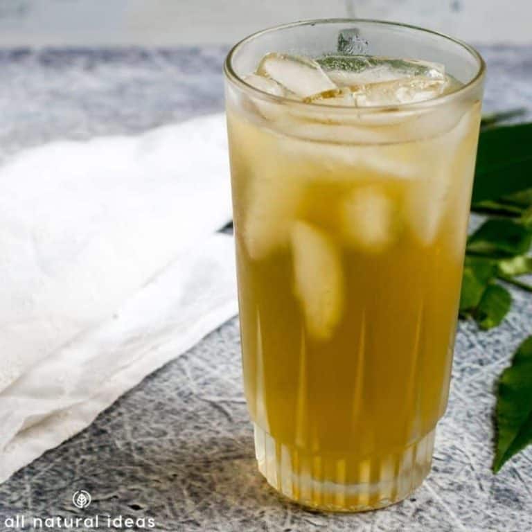 Staghorn Sumac Tea Top Health Benefits All Natural Ideas